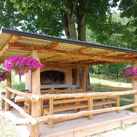 Farma & Apartmani II Opg Sasa Delic Grabusic Экстерьер фото