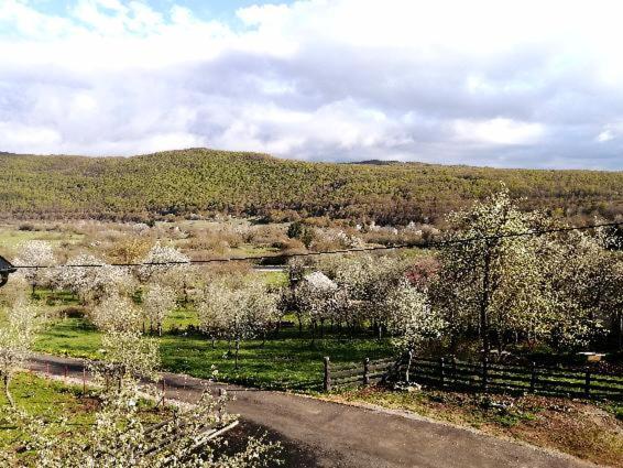 Farma & Apartmani II Opg Sasa Delic Grabusic Экстерьер фото