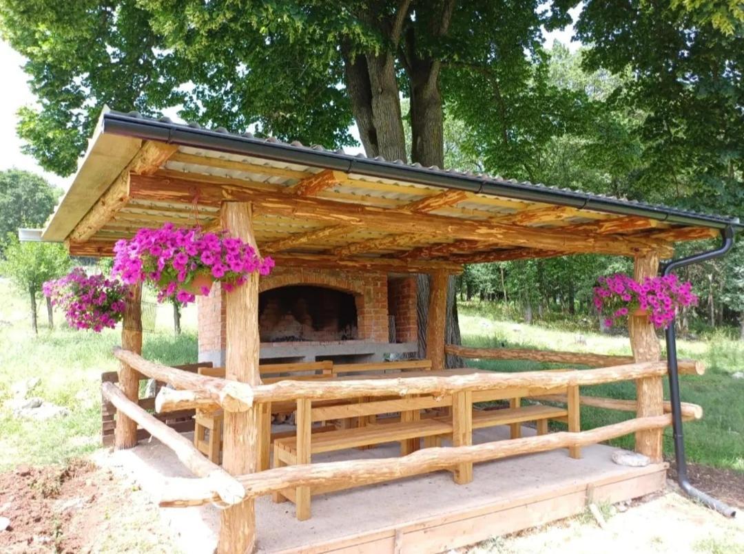Farma & Apartmani II Opg Sasa Delic Grabusic Экстерьер фото